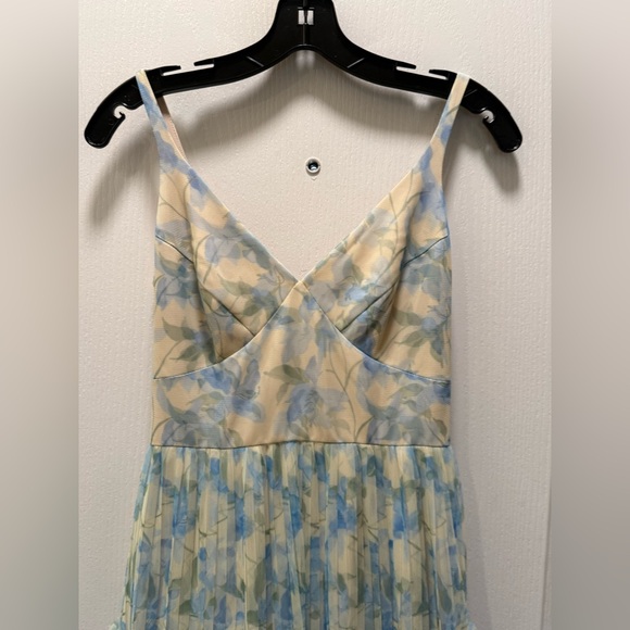 Hutch Watercolor Vining Daffodils Tulle  Dress Colors: Ivory/Sky Size 2 NWT - Picture 3 of 8